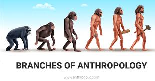 Anthropology